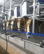 DSC Vial Sàrl Bild 19