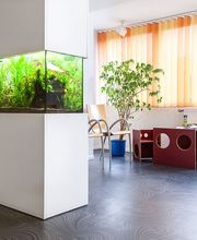 Zahnarztpraxis Dr. Carsten Schäfer Bild 5