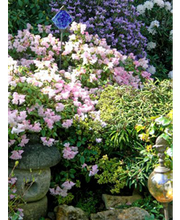 Höfler Heiko Bild 2