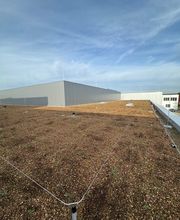 Waldmann Bedachungen Bild 2