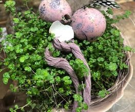 Schaufelbühl AG Blumen und Accessoires, Gartengestaltung Bild 5