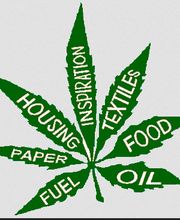 Yagmur FloraWorld Bild 10