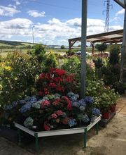 DELBARD TONNERRE image 6