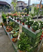 GIARDINI DOS SANTOS CANIÇO Bild 5