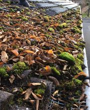 Verstopfte Dachrinne