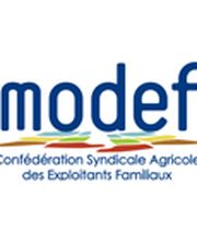 Csaef-modef image 2