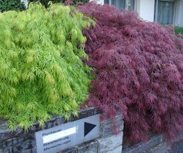 gartengestaltung reusser Bild 4