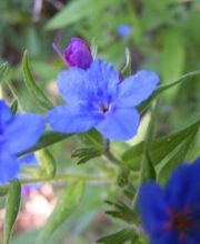 Conciergerie/Gérance de maison Haut Var image 16