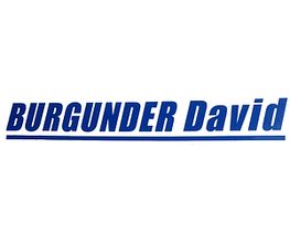 Burgunder David image 2
