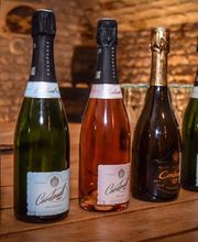 Champagne Cordeuil Père et Fille image 7