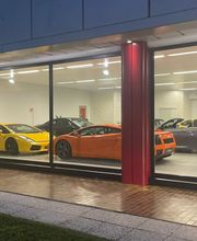 Gallery Cliente