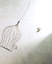 SAL FORMACIÓN Y TERAPIAS S.L. imagen 4