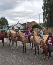 Reit- und Fahrstall Enderli Bild 12