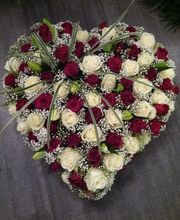 L´Orchidia image 11