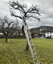 Gartenservice Mark Miess Bild 46