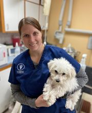 Heartland Animal Hospital image 6