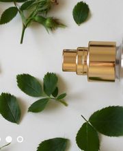 Rosen Apotheke Bild 3