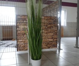 Tierhotel Leinfelder Bild 5