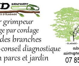 MD Saintrapt image 10