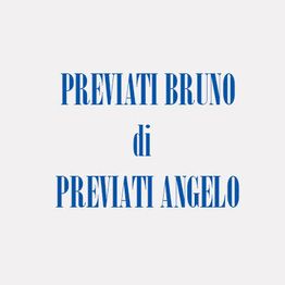 Previati Bruno logo