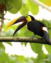 Die Reisegalerie GmbH Bild 5