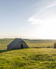 Aligot de L'Aubrac image 1