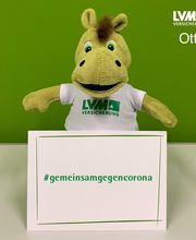 LVM Versicherung Thomas Ott - Versicherungsagentur Bild 9