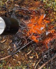 Stop Frelons image 7