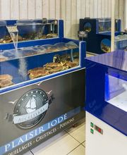 Au Plaisir Iode image 2