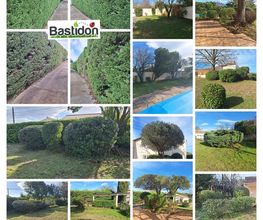 Bastidon Jardin image 5