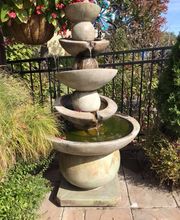 Evans Nursery LLC image 8