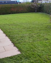 Herzog-Riedel Garten- und Landschaftsbau Bild 3