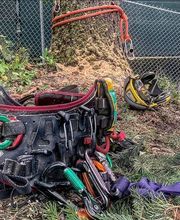 Baumdienst Klettermaxe e.K Bild 6