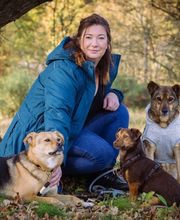 Altländer Hunde Bild 3