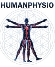 Humanphysio Zentrum GmbH Aarburg Bild 4