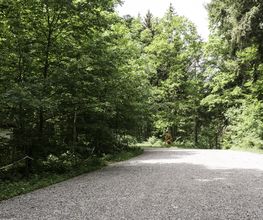 FriedWald Meßkirch Bild 5
