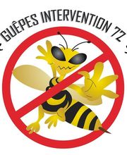 Guêpes Intervention image 1