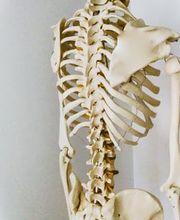 Fit and Fisio imagen 4