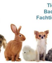 Tierarztpraxis Dr. Marina Frenk Fachtierärztin für Tierchirurgie Bild 2