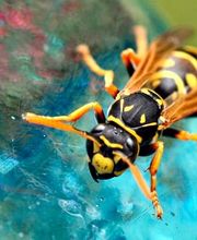 Eco Line Sagl Bild 6