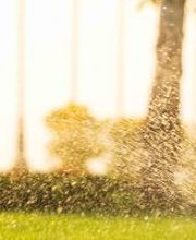 Klaus Frohberg Garten- und Landschaftsbau Bild 3