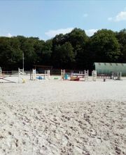 Centre Equestre De Mi-Forêt image 1