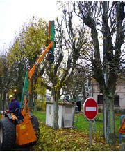 GALMEL JARDIN SERVICES image 3