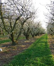 S . N Les Vergers De Muant SARL image 10