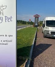 Gallery Cliente