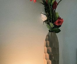 Au delà des Apparences image 6