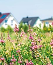 Regiotherm AG Bild 1