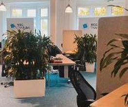 Arbeitsbereich mit mehreren Arbeitsplätzen und Grünpflanzen.