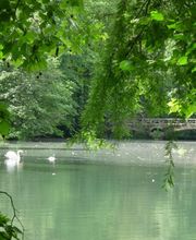 Domaine De Vadancourt image 6