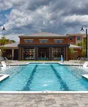 Argento at Oakland Springs Apartments image 3